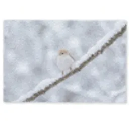 Vogeltje - Sneeuw - Tak - Winter - Zacht Deurmat klein -zkaufland3d