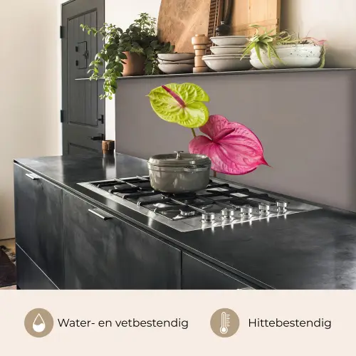 Planten - Anthurium - Groen - Roze keuken achterwand 2 middel -usp_NL