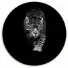 Dieren - Zwart - Luipaard - Wit - Wild Wandcirkel kunststof plaat 5mm dik klein -3d