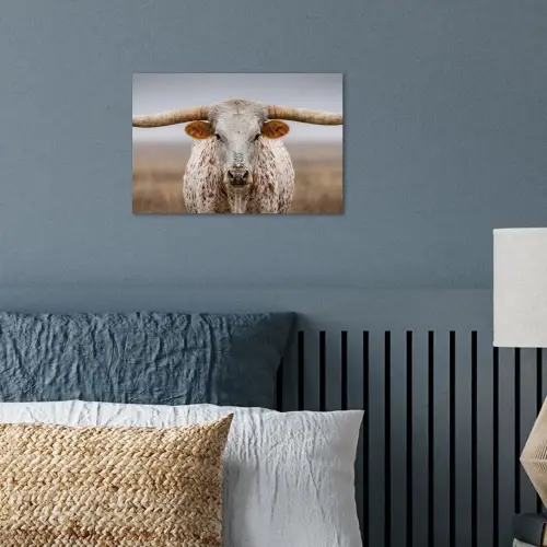 Longhorn - Grasveld - Dier poster papier klein -sfeer2