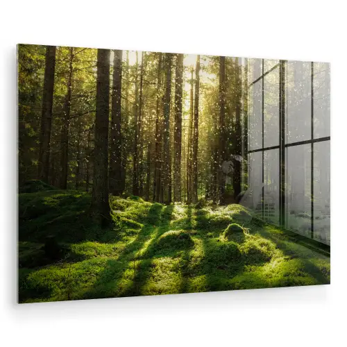 Bomen - Bos - Mos - Planten - Zon - Natuur plexiglas 5mm klein -zzzproduct_nieuw