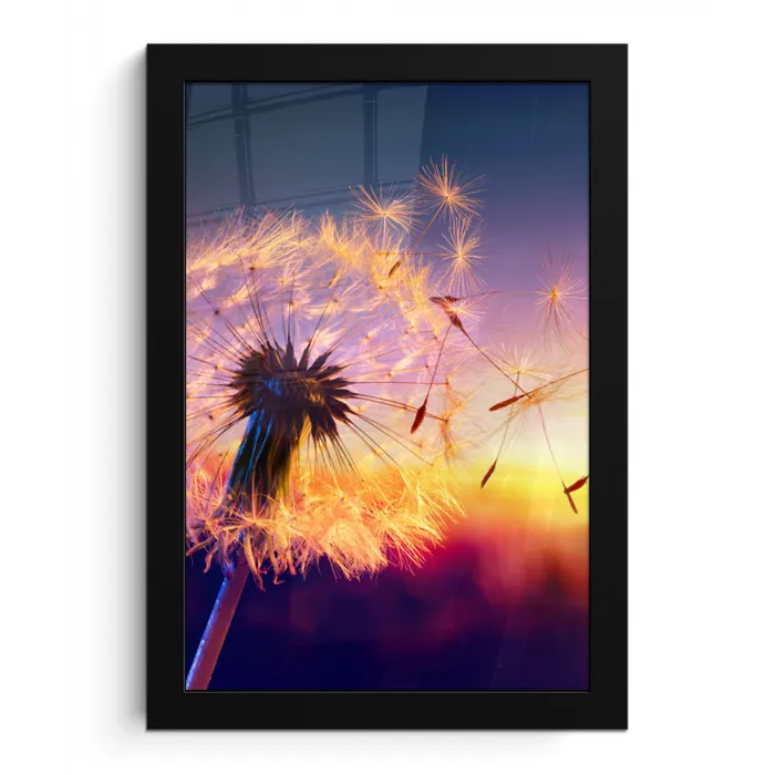 Paardenbloem - Bloemen - Zonsondergang - Horizon - Nacht fotolijst zwart zonder passe partout klein -3d