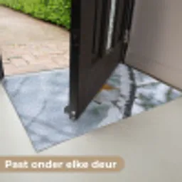 Roodborstje - Tak - Sneeuw - Winter - Levendig Deurmat klein -USP_NL