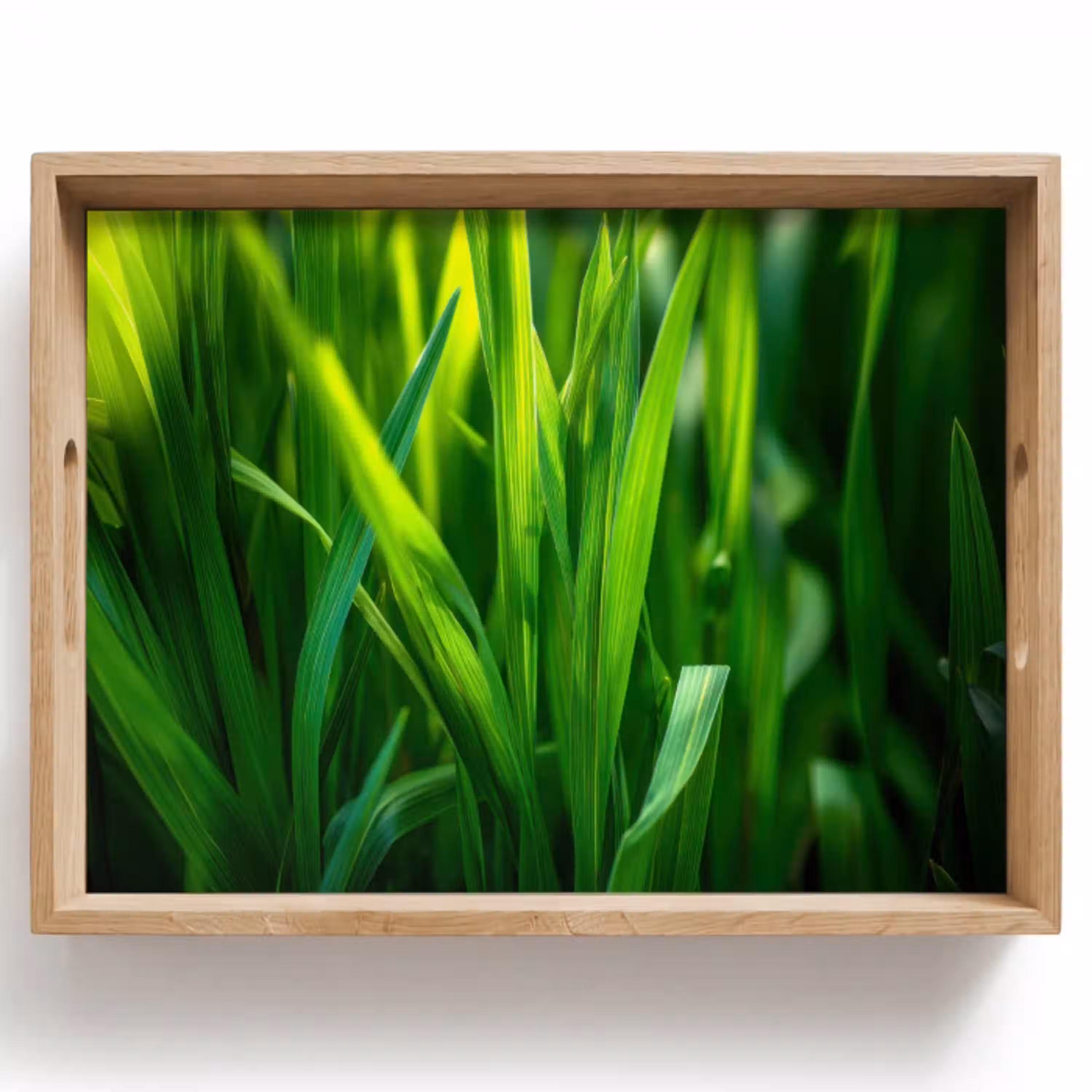 Grassprieten - Lichtinval - Groen Dienblad Rechthoek middel -z3d_shopping