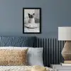 Kat - Siamees - Zwart Wit - Schattig - Dieren fotolijst zwart zonder passe partout klein -sfeer3