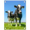 Koeien op een zonnige dag in de wei tuinposter los doek klein -3d