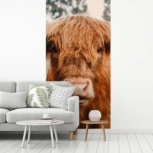 Koe- Schotse hooglander - Hoorns - Bruin - Landschap fotobehang vinyl groot -woonkamer