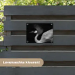 Kraanvogel - Zwart - Wit - Vogel - Dieren tuinposter los doek klein -sfeer3