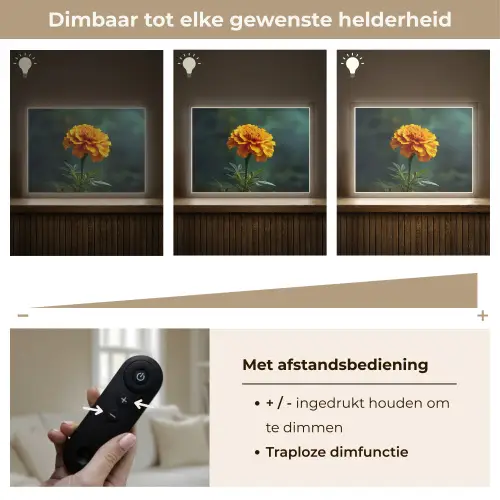 Bloemblaadjes - Afrikaan - Oranje - Wazig Light Box met batterij (Wandlamp) middel -USP_dimbaarNL