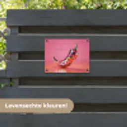 Peper - Disco - Rood - Glitter tuinposter los doek klein -sfeer3