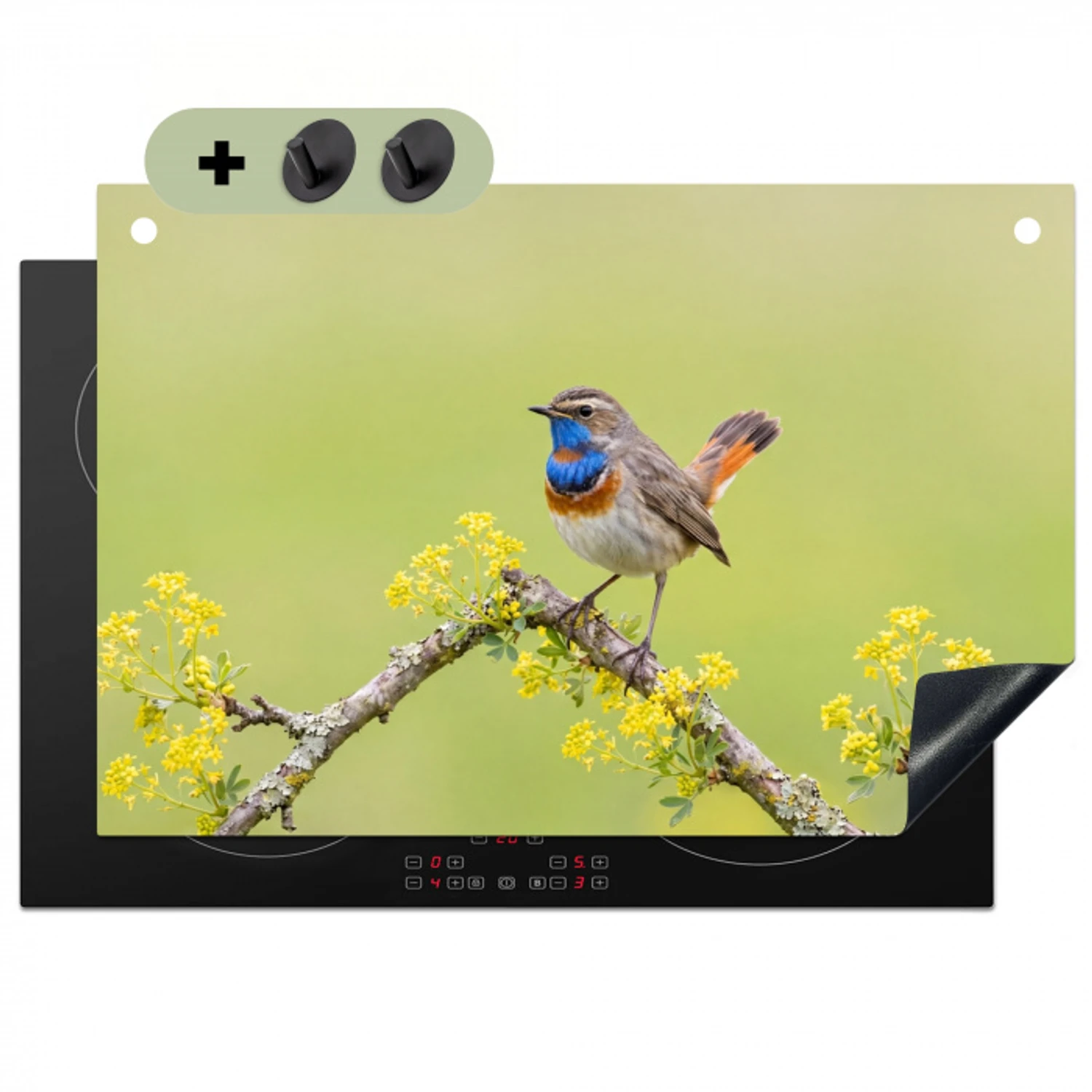 Vogel - Tak - Natuur - Kleurrijk Inductie beschemer met haakjes klein -3d