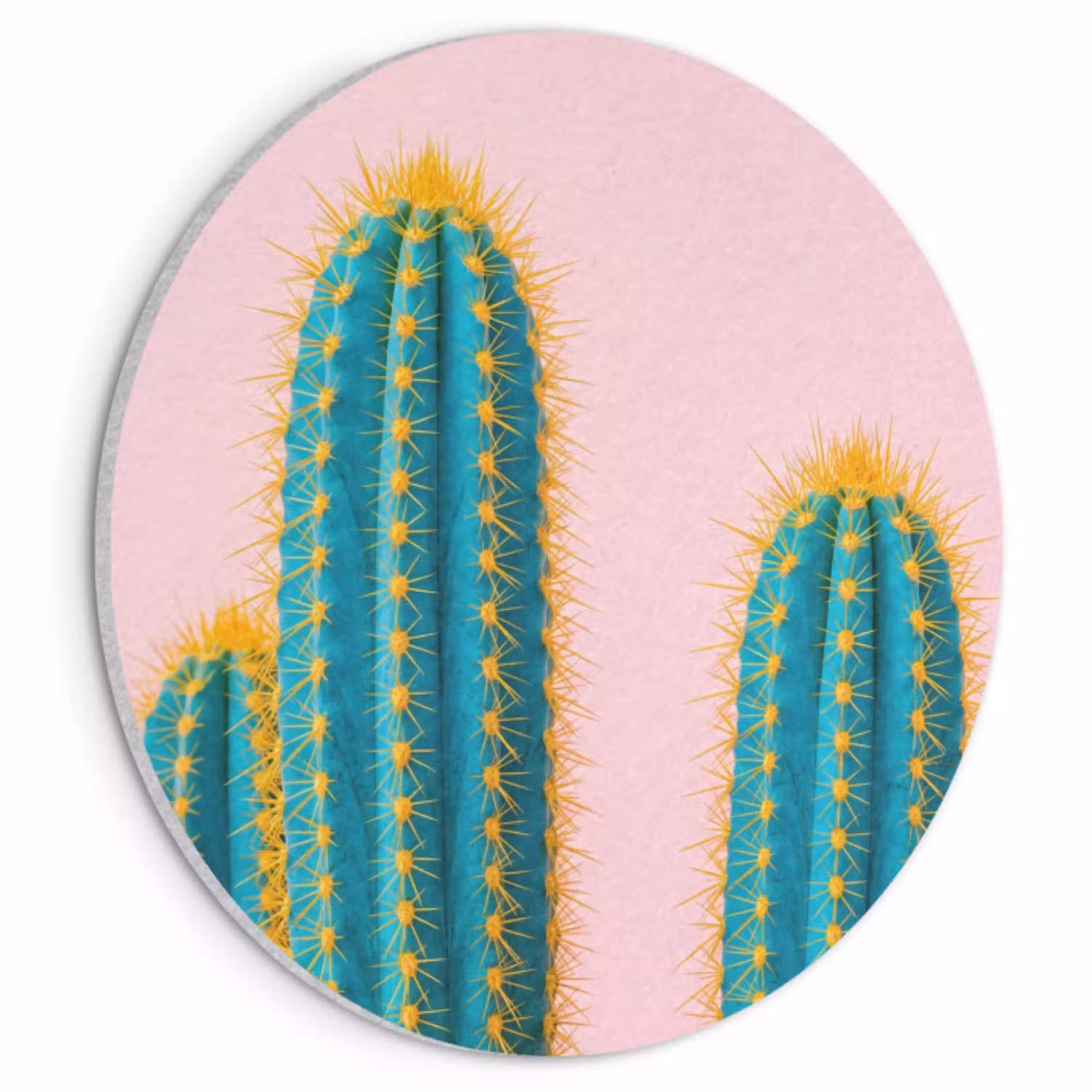 Cactussen - Modern - Pastel Akoestische PET Vilt - Rond klein -3d
