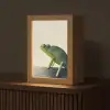Kameleon - Groen - Minimalistisch Light Box met kabel (Tafellamp) klein -z3d_website