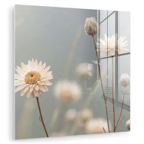 Strobloemen - Wit - Daglicht plexiglas 5mm klein -zzzproduct_nieuw