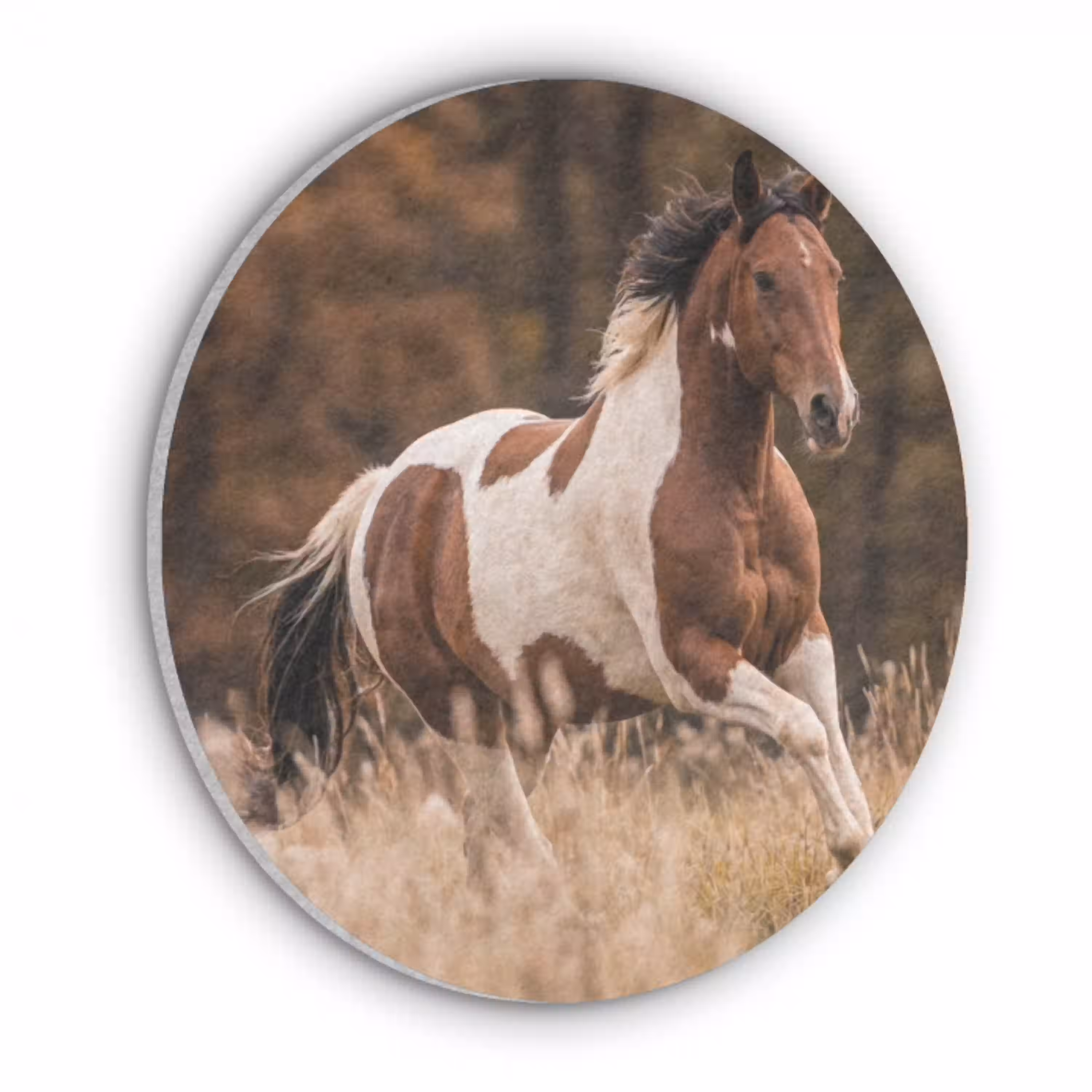 Paard - Bruin - Gras Akoestische PET Vilt - Rond klein -3d