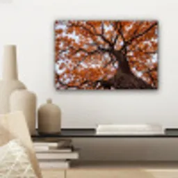 Boom - Bladerdak - Herfst - Oranje - Sfeervol canvas 2cm klein -sfeer6