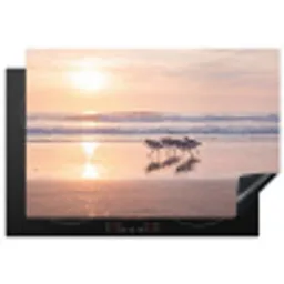Zee - Vogels - Strand Inductie beschermer vinyl 3mm klein -3d
