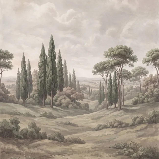 Behang - Vallei - Bos - Natuur - Groen