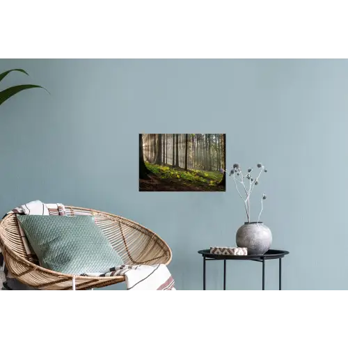 Zonlicht - Takken - Boom - Bos Muursticker klein -plant