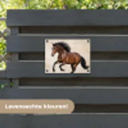 Paard - Galop - Energie tuinposter los doek klein -sfeer3