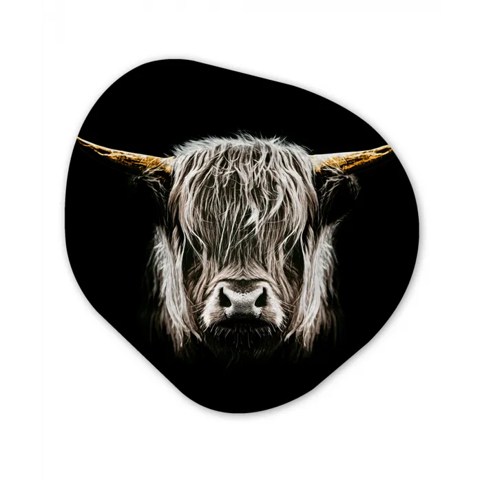 Schotse hooglander - Goud - Hoorns - Zwart wit - Koe - Dieren Wandcirkel Organisch Forex 3mm klein -3d