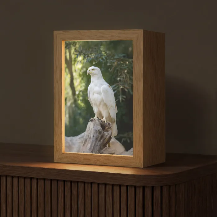 Arend - Hout - Wit - Planten Light Box met kabel (Tafellamp) klein -z3d_website