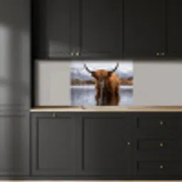 Schotse hooglander - Bruin - Water keuken achterwand 2 middel -sfeer1