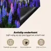 Sterrenlicht over Lupineveld Inductie beschermer vinyl 3mm middel -sfeer4