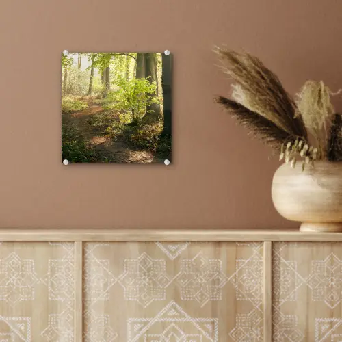 Bos - Bomen - Pad - Zon - Planten - Bladeren - Natuur plexiglas 5mm klein -sfeer5