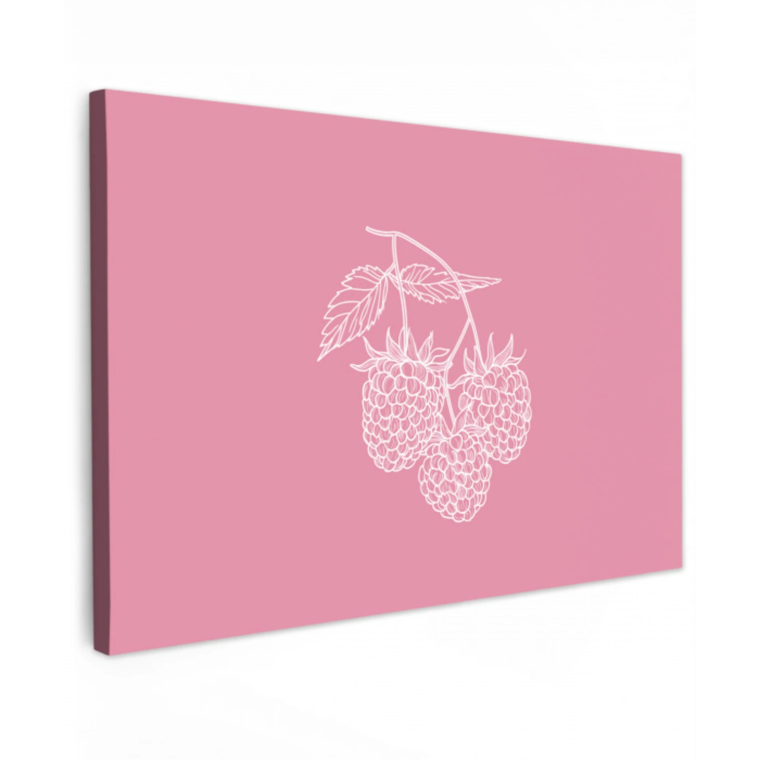 Frambozen - Steel - Getekend - Roze Tuinposter op houten frame 2 cm dik klein -3d