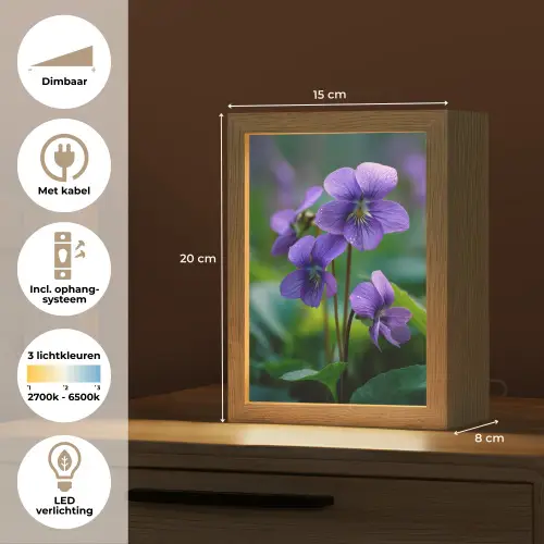 Viooltjes - Paars - Bloem - Bladeren Light Box met kabel (Tafellamp) klein -USP_NL