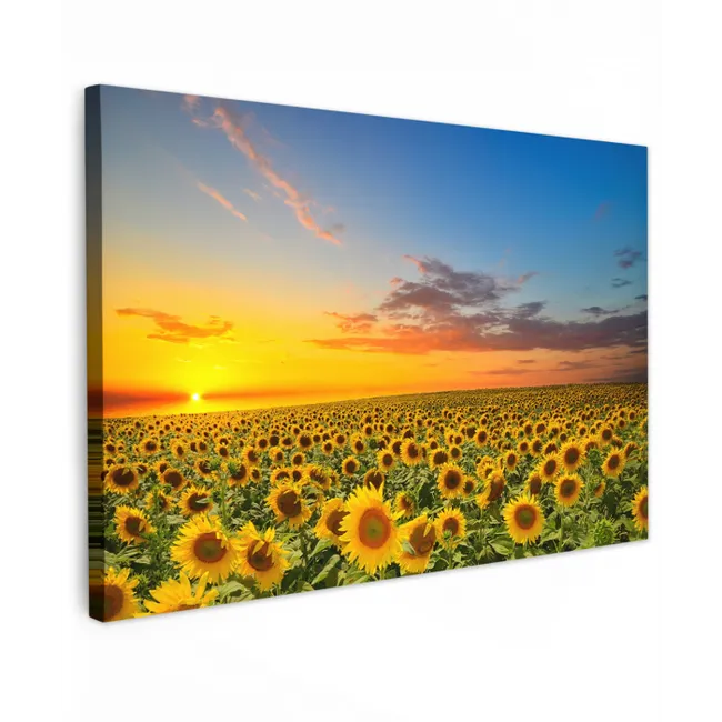 Bloemen - Zonnebloem - Zonsondergang - Nacht - Oranje canvas 2cm klein -z3d