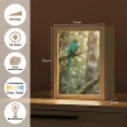 Quetzal - Jungle - Natuur - Groen Light Box met kabel (Kinderlampje) klein -USP_websiteoverzichtDE