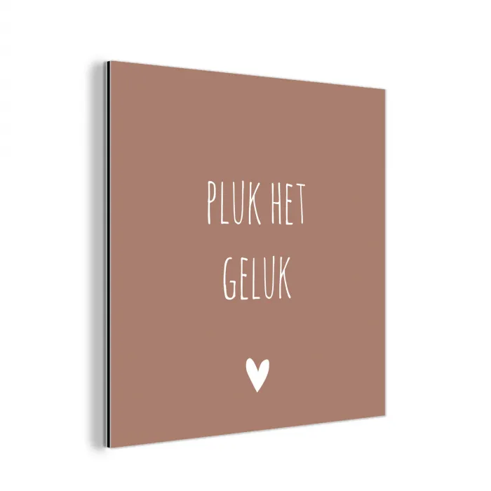 Pluk het geluk - Spreuken - Quotes aluminium wit klein -3d