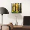 Bos - Zon - Bomen - Gras - Landschap  - Natuur plexiglas 5mm klein -sfeer6