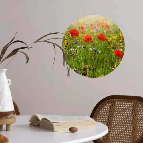 Lente - Bloemen - Rood - Klaproos - Gras - Groen Wandcirkel behangsticker klein -sfeer3