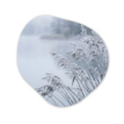 Riet - Bevroren - Winter - Natuur Wandcirkel Organisch Forex 3mm klein -3d