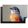 Kleurrijk - Vogeltje - Veren - Blauw Inductie beschermer vinyl 3mm klein -3d