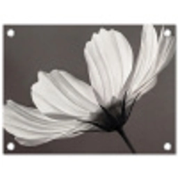 Bloem - Minimalistisch - Zwart - Wit tuinposter los doek klein -3d