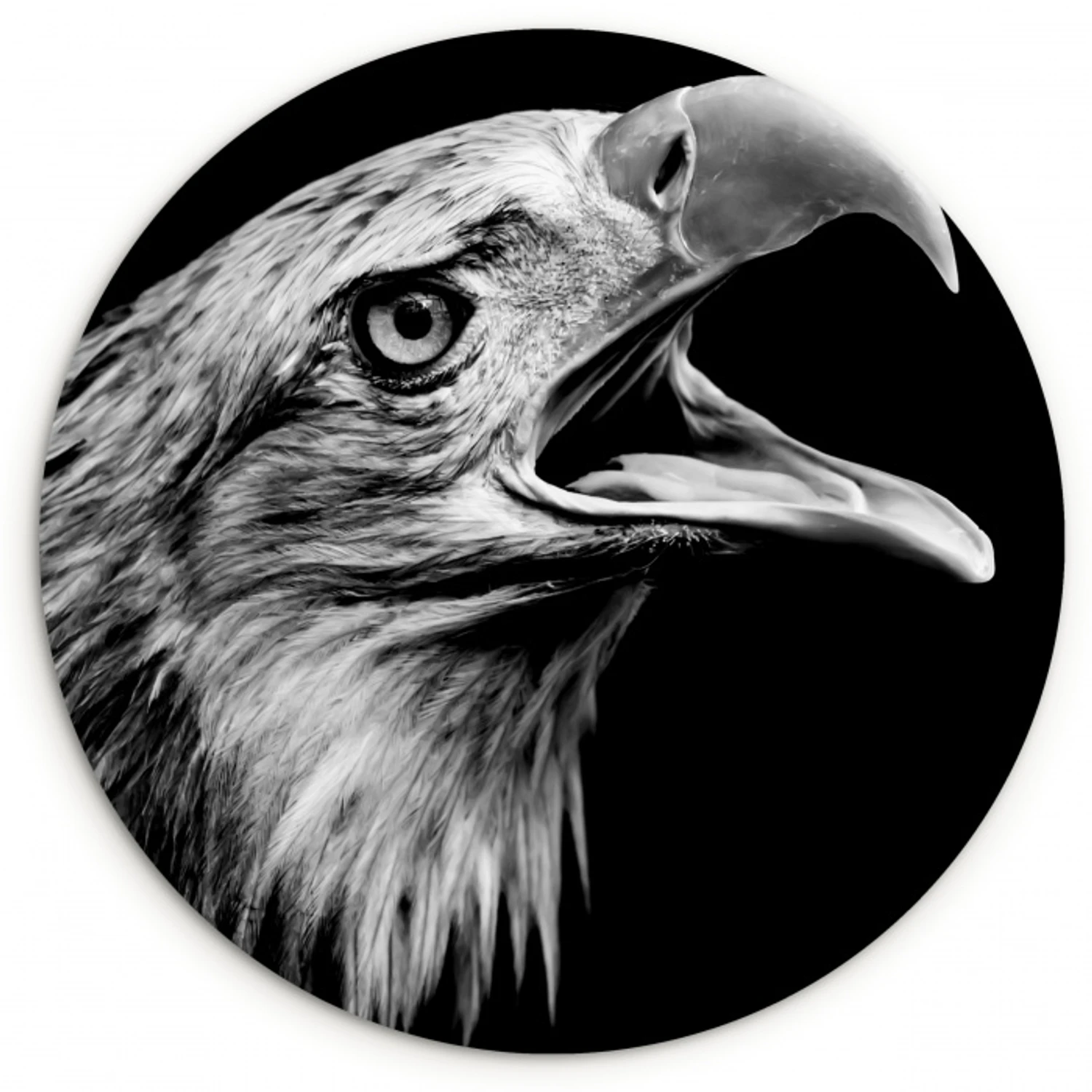 Adelaar - Portret - Roofvogels - Zwart - Wit - Vogel Wandcirkel kunststof plaat 5mm dik klein -3d
