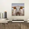 Longhorn - Grasveld - Dier aluminium wit klein -sfeer1