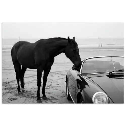 Paard - Auto - Zwart - Wit poster papier klein -3d