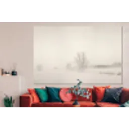 Boom - Mist - Sneeuw - Winter - Minimalistisch forex 5mm xxl -woonkamer