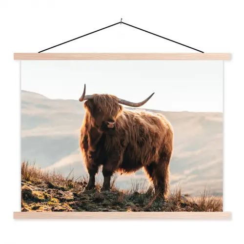 Schotse hooglander - Dieren - Landelijk - Landschap - Koe - Natuur textielposter latten blank klein -3d
