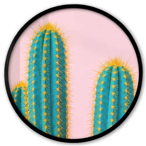 Cactussen - Modern - Pastel Fotolijst rond zonder passe partout klein -3d