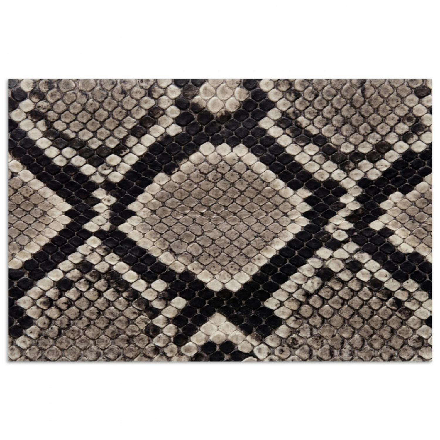 Slangenleer - Patroon - Beige poster papier klein -3d