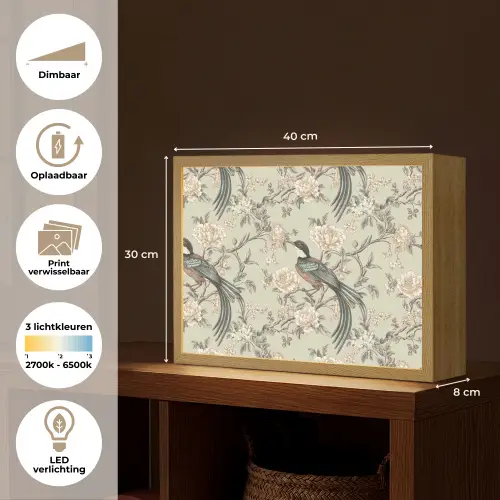 Bloem - Vogel - Kleurrijk Light Box met batterij (Wandlamp) middel 907 -USP_websiteoverzichtNL