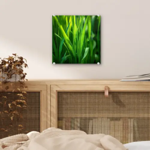 Grassprieten - Lichtinval - Groen plexiglas 5mm klein -sfeer4