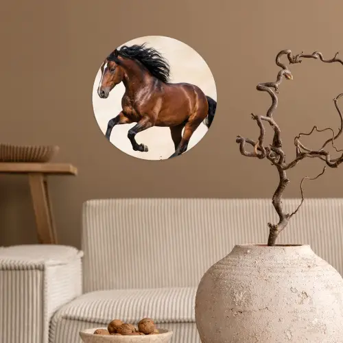 Paard - Galop - Energie Wandcirkel behangsticker klein -sfeer1