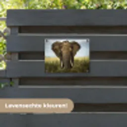 Olifant in de savanne tuinposter los doek klein -sfeer3